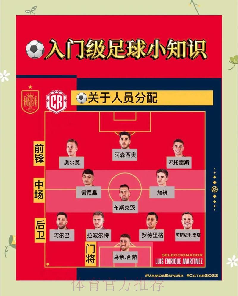 全面剖析世界杯参赛球队竞技表现与战术打法